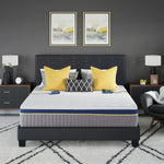 6-Zone Beds Collection (Master Product)
