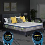 Ultra 6115 6-Zone Smart Zone Bed