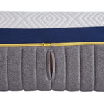 11" 2-Zone Smart Zone Bed