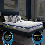 6-Zone Beds Collection (Master Product)