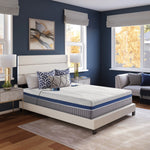 2-Zone Beds Collection (Master Product)