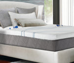 12" 6-Zone Closeout Bed