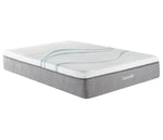 12" 2-Zone Smart Zone Bed