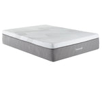 14" 2-Zone Smart Zone Bed