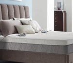 13" 2-Zone Smart Zone Bed