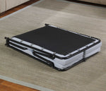 Beautyrest Foldway Guest Bed folded in living room