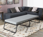 Twin Size Simmons Beautyrest Foldway Guest Bed in living room