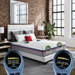 2-Zone Beds Collection (Master Product)
