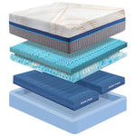 2-Zone Beds Collection (Master Product)