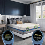 2-Zone Beds Collection (Master Product)