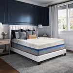 6-Zone Beds Collection (Master Product)