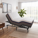 Easyflex 330 with Incline