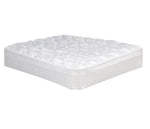 12" 2-Zone Smart Zone Bed