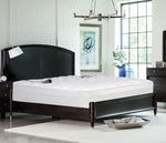 12" 2-Zone Smart Zone Bed