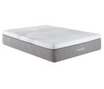 14" 2-Zone Closeout Bed
