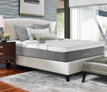 12" 2-Zone Closeout Bed